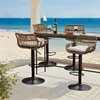LVHOM Lot de 4 tabourets de bar en rotin avec socle Voir les images du produit 1