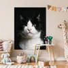MuchoWow® Poster Katze - Schwarz - Weiß 90x120 cm - Produktbild-Vorschau 7