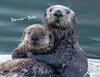 Otter Kalender 2027 Wandkalender Eintragkalender Produktbild-Vorschau 10