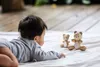 PlanToys orso e orsetto in legno Anteprima dell’immagine prodotto 2