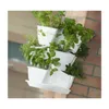 Petržlen závesný COUBI HERBAL biely 29,5cm Náhľad obrázku produktu 5