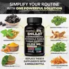 Shilajit + Ashwagandha, Rhodiola Rosea, Panax Ginseng (120 Anteprima dell’immagine prodotto 4