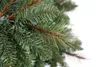 Evergreen Mesa Fichte 210 cm 210 cm ohne Lichterkette Produktbild-Vorschau 4