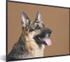 MuchoWow® Gerahmtes Poster Porträt eines Deutschen Produktbild-Vorschau 1