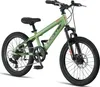 Licorne Bike Thunder Premium Mountainbike in 20, 24, 26, Produktbild-Vorschau 1