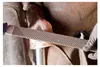 PFERD TOOLS 13180351 Hoof rasp Length 350 mm 1 pc(s) Anteprima dell’immagine prodotto 1