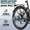 Elektrické bicykel, mestský elektrický bicykel a holandský Náhľad obrázku produktu 10