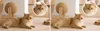 Xiaomi Smart Camera C500 Dual - Caméra de surveillance Voir les images du produit 24
