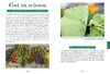 Das Gemüsegarten 1 x 1 Produktbild-Vorschau 13