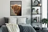 MuchoWow® Gerahmtes Poster Schottischer Highlander - Hörner Produktbild-Vorschau 5