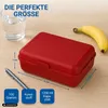 Contenitore per il pranzo "School-Box" - Lunchbox per Anteprima dell’immagine prodotto 7