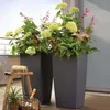 Jardinière Cubico Color 40 ALL-IN-ONE LECHUZA, gris Voir les images du produit 26