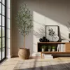HAUSPROFI Kunstpflanze Olivenbaum 180 cm,Realistische Olive Produktbild-Vorschau 5
