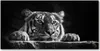 Tulup® Glas-Bild - 100x50 -Wandkunst - Wandbild hinter Produktbild-Vorschau 1