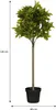 Mica Decorations Umělá rostlina vavřín - H120 x Ø40 cm - Náhled obrázku produktu 2