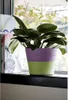 INNA-Glas Blumenkorb NERIONKO Duo, lila-grün, 16 cm, Ø 19 Produktbild-Vorschau 3