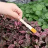 10dílná sada zahradního nářadí pro sukulenty a bonsaje, Náhled obrázku produktu 4