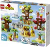 LEGO Duplo 10975 Wilde Tiere der Welt Náhľad obrázku produktu 24