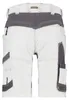 DASSY Arbeitsshorts AXIS PAINTERS Damen Gr. 38 Produktbild-Vorschau 4