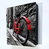 Schlüsselkasten Schwarz Metall, Rotes Fahrrad Motiv hinter Produktbild-Vorschau 6