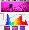 A marketing image showing a plant grow light with a spectral analysis graph and three examples of the lights. Voir les images du produit