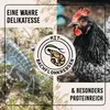 FarmLife Hühnertraum 2,5 kg - natürliches Zusatzfutter für Produktbild-Vorschau 4
