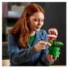 Piraňová rostlina Náhled obrázku produktu 36