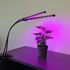Gardlov 19241 LED Lampička na pestovanie rastlín 20 LED 2 Náhľad obrázku produktu 17