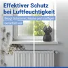 Deumidificatore per ambienti Maximex Mod. Cat, Anteprima dell’immagine prodotto 4