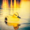 Kunststoff Ente Schwimmende Ente Für Teich Teich Figur Produktbild-Vorschau 7