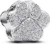 PANDORA MOMENTS Charm Mini Paw Texture 794043C00 Anteprima dell’immagine prodotto 3