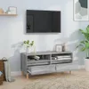 TV-Schrank Grau Sonoma 100x34,5x44,5 cm Holzwerkstoff , Produktbild-Vorschau 1