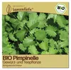 Samenliebe  Pimpinelle Samen | Kleiner Wiesenknopf - Produktbild-Vorschau 1