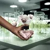 Prada Paradoxe Virtual Flower Eau De Parfum 30 ml (woman) Produktbild-Vorschau 6