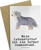 Mr. & Mrs. Panda jubiläumskarte Berner Sennenhund Produktbild-Vorschau 1