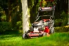 Honda Kosiarka Spalinowa Do Trawy Cedrus Ks53S-H Al Podgląd zdjęcia produktu 2