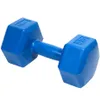 A single blue dumbbell is shown against a white background. Produktbild-Vorschau