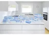 EMSA ijsblokjesbak "Clip & Close 2.0", blauw / transparant Productafbeelding-voorbeeld 3