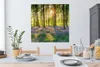 MuchoWow® - Leinwandbilder - Frühling - Wald - Sonne, Produktbild-Vorschau 5