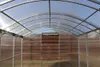 Ultra Starkes Gewächshaus 3x6M mit 6MM "Bruno" polycarbonat Produktbild-Vorschau 6