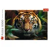 Trefl Puzzle 1000 el. Dziki tygrys, 1000 szt., Animals Podgląd zdjęcia produktu 2
