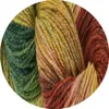 A close-up view of a skein of yarn with multiple colors. Produktbild-Vorschau