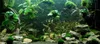 Aquarium Deko Steine 15 kg Schiefer Natur Produktbild-Vorschau 10