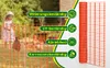 Aopunly Afsluiting, 1x50 meter, Bouwhek met Productafbeelding-voorbeeld 5