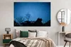 MuchoWow® Poster Sternenhimmel - Wald - Blau 180x120 cm - Produktbild-Vorschau 4
