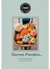 Bridgewater Candle Duftsachet Harvest Pumpkin Produktbild-Vorschau 1