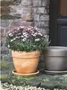 Spang Pflanztopf Levante 25cm Ø30cm hell marmoriert, Produktbild-Vorschau 2