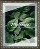 Bilderrahmen Mallorca - 35x70 cm, Schwarz Silber Produktbild-Vorschau 1