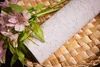A.S. Création tapeta s větvemi Trendwall 2 netkaná tapeta Náhled obrázku produktu 16