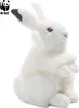 WWF peluche coniglio delle nevi (24 cm) realistico peluche Anteprima dell’immagine prodotto 1